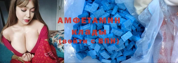 ПСИЛОЦИБИНОВЫЕ ГРИБЫ Вяземский