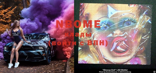 ПСИЛОЦИБИНОВЫЕ ГРИБЫ Вяземский